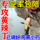 黃辣丁餌料黃顙餌料野釣水庫野河黑坑夜釣黃刺魚(yú)餌料黃辣丁散裝餌 3袋【2袋價(jià) 黃桑餌料】