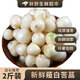 產(chǎn)地直發(fā) 四川苦藠 新鮮薤白小根蒜2斤裝苦芥野菜野蔥頭農(nóng)家自種