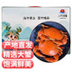 【活蟹】掌昕鮮三門(mén)青蟹 生鮮活螃蟹 海鮮水產(chǎn)禮盒裝 巨蟹 紅膏大母蟹（8-9兩/只）1只