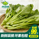 小湯山 菜心 約250g 新鮮蔬菜基地種植當天采摘