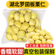 良知農(nóng)哥新鮮板栗仁 新鮮去殼生板栗仁羅田去皮板栗 健康輕食 500g*3袋（每袋含50g干燥劑）
