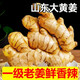 農(nóng)大姐妹 大姜 特級(jí)老姜 月子姜新鮮蔬菜調(diào)味料 煮姜湯 1斤