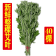 土也新鮮整棵長款艾葉艾草端午掛門上艾葉泡腳泡澡艾灸端午禮品 新鮮艾葉40棵