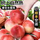 甘賢甘肅天水秦安水蜜桃【空運(yùn)鎖鮮】老樹(shù)現(xiàn)摘新鮮爆汁桃子中秋節(jié)禮盒 北京九號(hào)（精選禮盒裝） 6斤大果 12枚