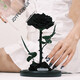JoyFlower永生花黑玫瑰禮盒七夕情人節(jié)生日禮物結(jié)婚紀(jì)念日送男女朋友高級(jí)感