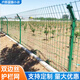 雙邊絲護欄網(wǎng)高速公路邊框圍欄隔離鐵絲網(wǎng)養殖果園圈地框架防護網(wǎng) 綠色 護欄網(wǎng)