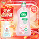 好爸爸  KISPA洗衣液內(nèi)衣內(nèi)褲清洗液抑菌除螨櫻香親膚露去血漬 親膚露950g瓶裝+羽絨服液80g