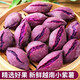 甘賢（GANXIAN）越南小紫薯【現(xiàn)挖現(xiàn)發(fā)】沙地紫薯小個(gè)珍珠板栗薯 粉糯紫心番圓薯 小果3斤