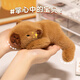 貝尚星 兒童生日掌中寶卡皮巴拉公仔毛絨玩具女生日禮物男玩偶水豚18cm