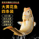 朵芙黃花魚 冰鮮大黃魚 黃魚4條 海鮮水產(chǎn) 燒烤食材生鮮魚類年貨送禮 【碼頭直供】4條大黃魚