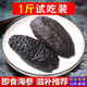 御瀘鮮湘即食營(yíng)養(yǎng)北極紅參冰島即食海參純野深海海參加拿大紅極參海鮮送禮 1斤試吃 ( 10年參 整條裝)