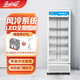 白雪（Baixue）立式保鮮展示柜 雙層中空鋼化玻璃門(mén)商用冰箱冷藏柜 超市啤酒飲料陳列柜 【全風(fēng)冷SC380F【650*625*1850】