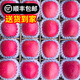 靜寧蘋(píng)果甘肅紅富士蘋(píng)果一級果當季新鮮蘋(píng)果脆甜源頭直發(fā)包郵 試吃裝6枚裝小果果徑70mm
