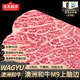 西帕克（WEST PARK）澳洲和牛雪花牛排M9上腦邊 谷飼牛排原切牛肉 冷凍生鮮牛扒厚切 凈重500g