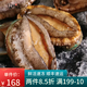 海鮮頌 活凍大鮑魚 鮮活速凍海鮮水產(chǎn) 生鮮冷凍鮑魚撈飯 貝類 火鍋食材 1kg（約16只)