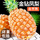 皓謙海南金鉆鳳梨9斤新鮮當季水果香水菠蘿手撕菠蘿特級大果整箱 2斤