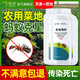 皎潔螞蟻藥菜地農(nóng)用戶外室外家用全窩一鍋殺螞蟻除滅蟻端殺專用殺蟲劑 500g 5瓶 【送殺蟻粉劑】不傷菜園