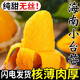 鑫果滋小臺(tái)芒 海南芒果水果小臺(tái)農(nóng)芒甜心芒雞蛋水仙熱帶新鮮整箱忙果 9斤【A+級(jí)品質(zhì)】 中果【70-90g】
