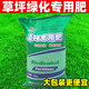 ZNMW草坪專(zhuān)用肥料園林綠化氮磷鉀有機復合肥家用通用型花草果樹(shù)木化肥 草坪專(zhuān)用肥10斤【花草通用】