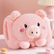 梅派熱水袋充電式防爆暖寶寶暖水袋注水女毛絨可愛(ài)暖手寶2026新款ZP 立體萌粉豬【智能防爆-可拆洗】