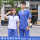 龍偉聯(lián)合 純棉深圳校服初中學(xué)生速干透氣排汗夏季短褲短褲運動(dòng)服套裝高中生男女上衣秋冬外套長(cháng)褲班服 純棉男生短袖上衣185