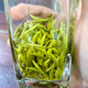 香茗鮮 2025新茶茶葉舒城綠茶小蘭花明前特級頭采芽頭高山綠茶250克