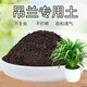 吊蘭專(zhuān)用土有機花土種花吊蘭營(yíng)養土壤養花通用種植土透氣有機肥料 吊蘭嚴選專(zhuān)用土9.5斤