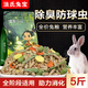 法氏兔糧兔子飼料5斤荷蘭豬幼兔豚鼠糧垂耳兔糧食10寵物通用抗球蟲20 基礎(chǔ)兔糧5斤