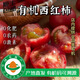 有機蔬菜西紅柿番茄5斤水果番茄5斤有機認(rèn)證無農(nóng)殘酸甜可口順豐 5斤 水果番茄（小）