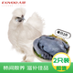 大用白鳳烏雞凈重4斤（2斤*2只）冷凍 十全烏骨雞 農(nóng)家土雞月子雞燉湯