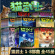 【全系列自選】貓武士 全套一二三四五六七八部曲 46冊(cè)可選 【超劃算】全套1-45冊(cè) 一二三四五六七八部曲