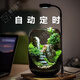 OIMG【青山】創(chuàng)意苔蘚微景觀擺件生態(tài)瓶辦公室桌面生態(tài)缸綠植造景盆景 【推薦】單景觀+定時(shí)植物燈 成品發(fā)貨