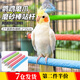 廬播鸚鵡磨爪棒磨砂小鳥站桿站棍架虎皮玄鳳牡丹專用磨嘴牙石玩具用品 鸚鵡磨爪站桿【顏色隨機(jī)】2*15cm