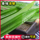 斑斕葉新鮮香蘭葉可食用烘焙千層蛋糕芒果糯米飯調味糕點(diǎn)食材原料 500g