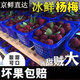 寒與會2025現(xiàn)摘新鮮楊梅好吃楊梅現(xiàn)摘水果孕婦可吃酸甜當(dāng)季時令 楊梅5斤