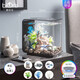 biOrbFLOW15L生態(tài)金魚缸家用辦公室桌面創(chuàng)意禮品方形亞克力水族箱 15L黑缸MCR燈+圖片造景1
