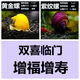 墨之瑤蘋果螺觀賞螺魚缸清潔除藻螺草缸工具黃金紫紋神秘螺水族淡水寵物 雙喜臨門（黃金螺2紫紋螺2）