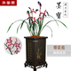 華香園墨寶 建蘭精品紅花銘品 不帶花苞濃香型辦公室內(nèi)耐陰綠植盆栽花卉 墨寶2苗裸根帶花苞