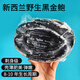 新西蘭進(jìn)口黑金鮑高檔海鮮水產(chǎn)鮮活冷凍超大鮑魚(yú)一頭鮑約500g/個(gè) 1000g/2個(gè)