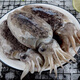 鮮源瀾灣 新鮮大墨魚海捕 冷凍墨魚 未經(jīng)水泡發(fā)帶墨囊海鮮水產(chǎn) 4斤裝一斤左右/只