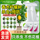 皎潔檸檬樹(shù)殺蟲(chóng)劑專(zhuān)用藥檸檬驅蟲(chóng)紅蜘蛛除蟲(chóng)葉子發(fā)黃生樹(shù)蟲(chóng)長(cháng)蟲(chóng)香水打 2瓶