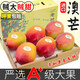 澳芒新鮮特大芒果應季甜心水果巨無(wú)霸高端送禮水果 5斤A+級精選精品