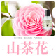 柏世曼山茶花香水CAMELLIA茶花淡香清新香調(diào)持久留香男女士小眾香水 77山茶花30ml