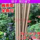 凈安美艾條艾葉艾草蚊香棒艾條家用天然艾草條室內香薰戶(hù)外野艾葉艾草條 一盒30支裝
