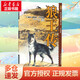 狼王傳 美繪版 美繪版 幼兒圖書 早教書 故事書 兒童書籍
