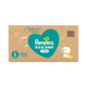 幫寶適（Pampers）清新幫拉拉褲 L104（整箱）