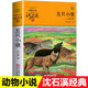 新華書(shū)店正版 沈石溪品藏書(shū)系動(dòng)物小說(shuō)全集40冊禮盒裝新老版本隨機 狼王夢(mèng)沈石溪的書(shū)全套系列第七條獵狗 雪豹悲歌 海豚之歌9-10-12-15歲兒童文學(xué) 學(xué)生課外書(shū) 五只小狼