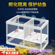 GOTP魚缸隔離盒孔雀魚小魚隔離網(wǎng)魚缸魚苗孵化繁殖網(wǎng)罩母魚產(chǎn)房熱帶魚 小號(hào)-紗網(wǎng)隔離盒【帶隔板】