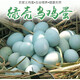 帷曼農家放養散養綠皮土雞蛋烏雞蛋綠殼土雞蛋生鮮中秋送禮盒裝 30枚