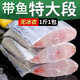 帶魚(yú)段無(wú)冰冷凍帶魚(yú)段凍品整箱東海小眼帶魚(yú)中段新貨 無(wú)冰帶魚(yú)段500g(10段左右)*2袋